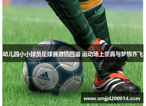 幼儿园小小球员足球赛激情四溢 运动场上童真与梦想齐飞