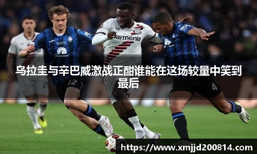 星空.综合体育官网