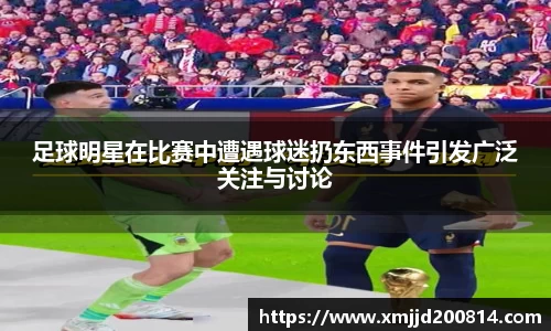 足球明星在比赛中遭遇球迷扔东西事件引发广泛关注与讨论