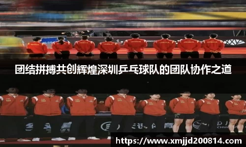 团结拼搏共创辉煌深圳乒乓球队的团队协作之道