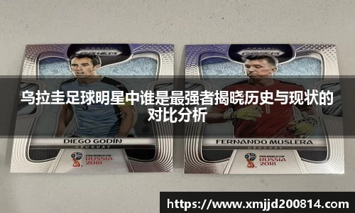 星空.综合体育官网