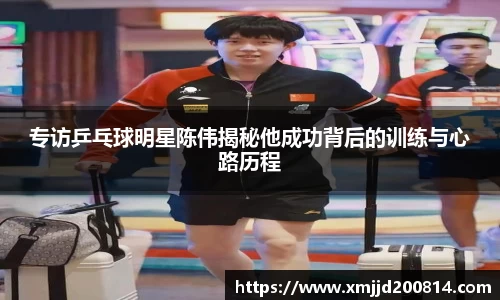专访乒乓球明星陈伟揭秘他成功背后的训练与心路历程