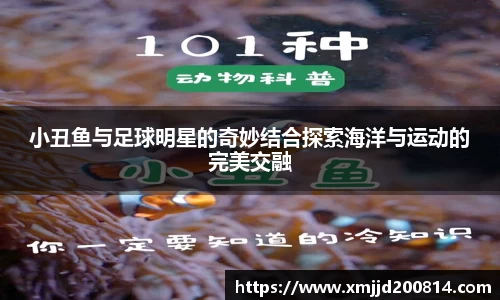 星空综合(中国)官方网站