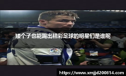 星空.综合体育(中国)官方网站