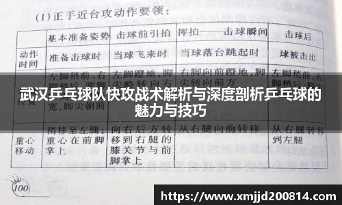 武汉乒乓球队快攻战术解析与深度剖析乒乓球的魅力与技巧